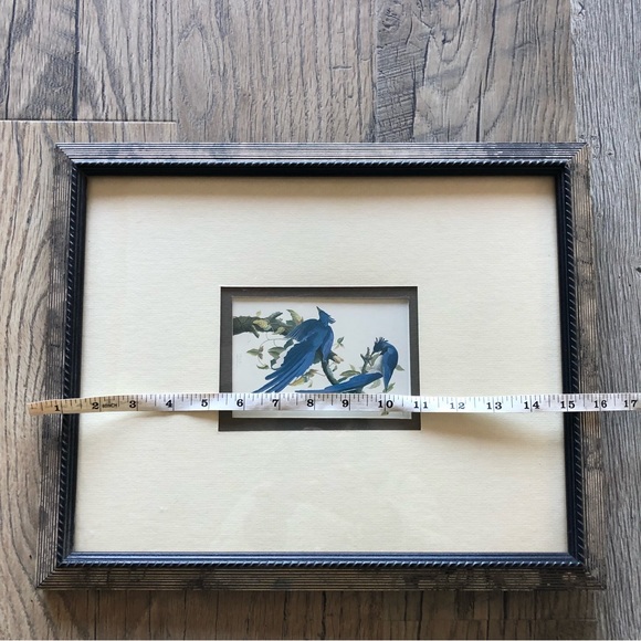 Vintage Bird Picture Frame - Picture 7 of 8